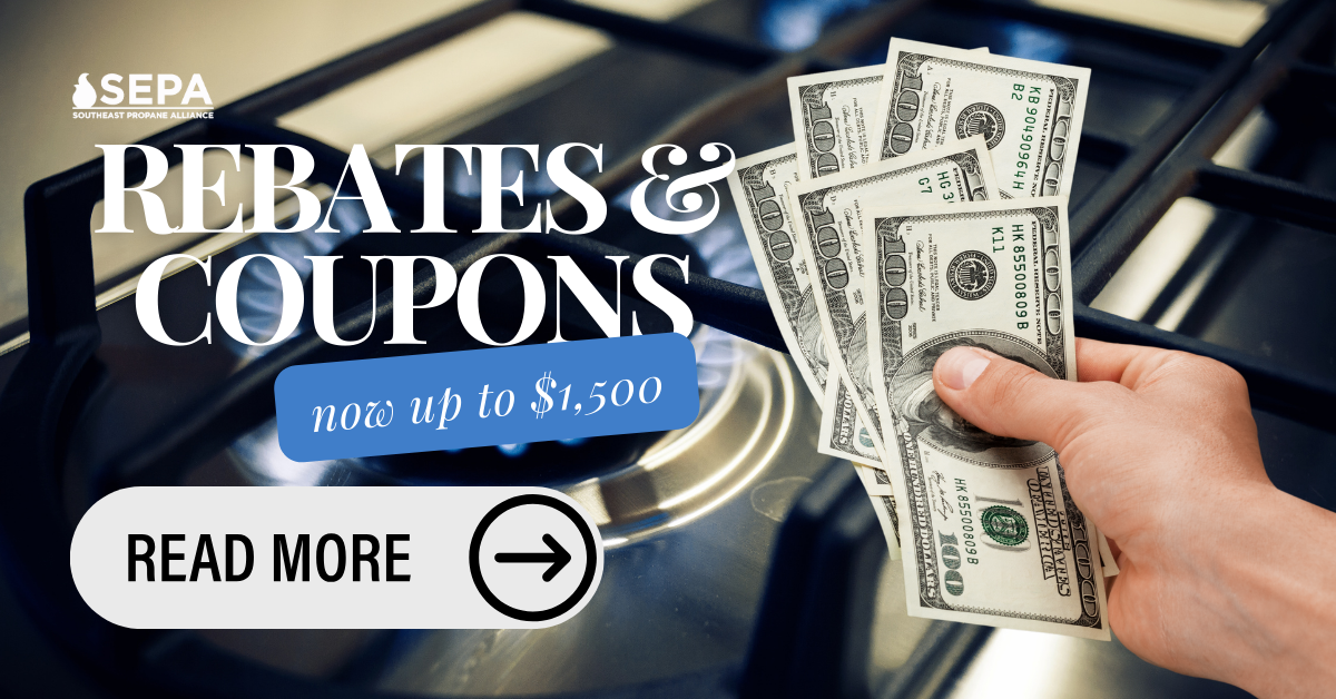 rebates and coupons